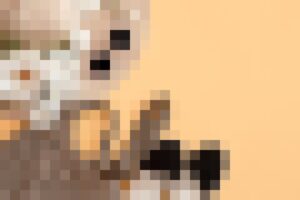 Mengenal Knalppot Untuk Balap