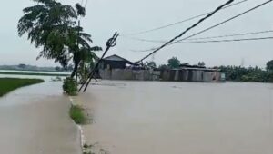 Cikarang Timur Dikepung Banjir, Sekcam Aris Sadikin Tinjau Langsung Titik Terdampak