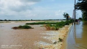 Waspada Jalan Penghubung Bojong-Cipayung Terkikis Akibat Banjir