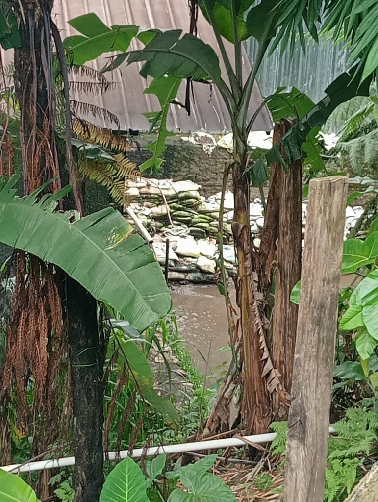 DiDuga Tidak Tersentuh Oleh Pihak APH Setempat Dan Tanpa Memperhatikan Prinsip Tata Kelola Yang Baik Para Penambang PETI Diwilayah Ciguha Menjamur